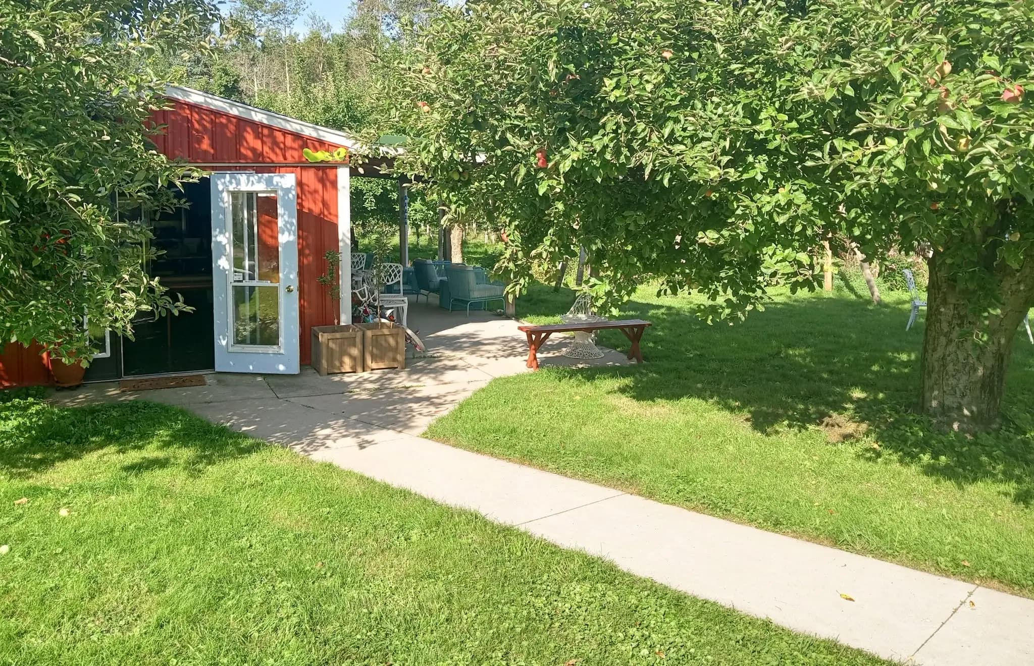 The orchard stand and apple trees on a summer morning